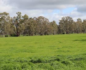 Rural / Farming commercial property sold at 127 Orr's Road Gannawarra VIC 3568