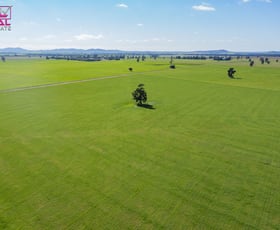 Rural / Farming commercial property sold at South Yalgogrin Road Barellan NSW 2665