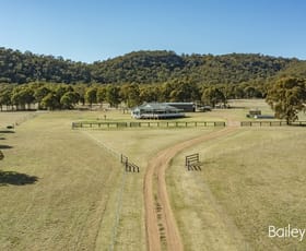 Rural / Farming commercial property sold at 380 Ferndale Road Yarrawa NSW 2328