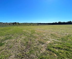 Rural / Farming commercial property sold at 1003 Henry Lawson Way Young NSW 2594