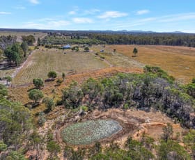 Rural / Farming commercial property sold at 93 Rohdmanns Road... South Kolan QLD 4670