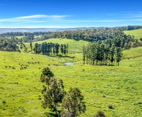 Rural / Farming commercial property for sale at Lot 25 Attwood Road Lowden WA 6240