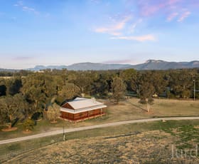 Rural / Farming commercial property sold at 891 Milbrodale Road Broke NSW 2330