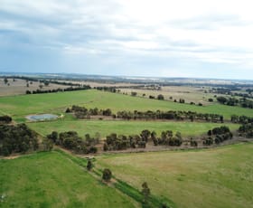 Rural / Farming commercial property sold at 'Hazeldene' Ballimore Road Ballimore NSW 2830