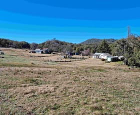 Rural / Farming commercial property sold at Bungendore Spur Rd Watsons Creek NSW 2355