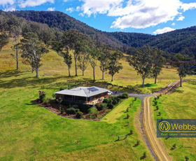 Rural / Farming commercial property sold at 1331 Bowman River Road Gloucester NSW 2422