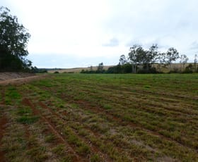 Rural / Farming commercial property sold at 73 WHITEBRIDGE ROAD North Isis QLD 4660
