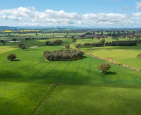 Rural / Farming commercial property sold at 'Glenora'/87 Stony Park Rd Jindera NSW 2642