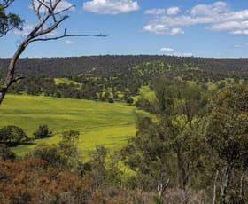 Rural / Farming commercial property sold at 545 Chittering Valley Road Lower Chittering WA 6084