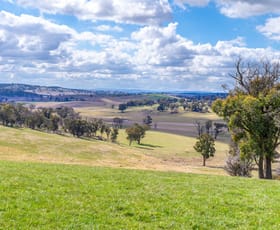 Rural / Farming commercial property sold at 'Boomori' Triangle Flat Road Triangle Flat NSW 2795