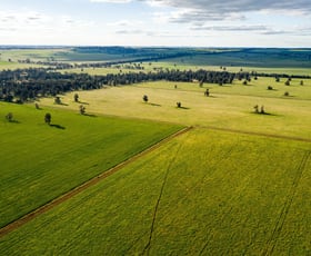 Rural / Farming commercial property sold at 250 Millwood Rd, Coolamon Via Wagga Wagga NSW 2650