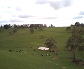 Rural / Farming commercial property sold at Beatons Road Jancourt VIC 3266