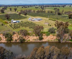 Rural / Farming commercial property sold at 651 Police Paddocks Road Carlyle VIC 3685