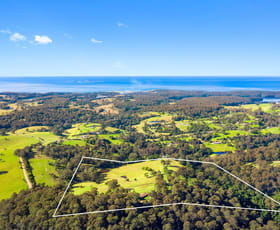 Rural / Farming commercial property sold at 233 Wagonga Scenic Drive Narooma NSW 2546