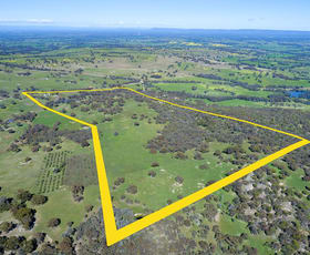 Rural / Farming commercial property sold at 61 Moores Road Springhurst VIC 3682