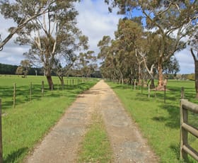 Rural / Farming commercial property sold at 545 Casterton-Penola Road Casterton VIC 3311