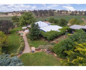 Rural / Farming commercial property sold at 'Puddington' 183 Sullivans Road Manildra NSW 2865