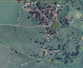 Rural / Farming commercial property sold at 207 Redmanvale Road Jerrys Plains NSW 2330