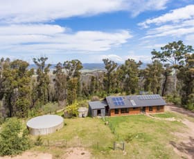 Rural / Farming commercial property sold at 40 Vimy Ridge Road Reedy Swamp NSW 2550