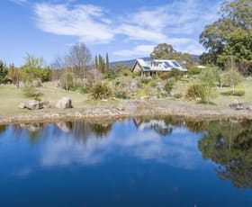 Rural / Farming commercial property sold at 448 Hereford Hall Road Braidwood NSW 2622