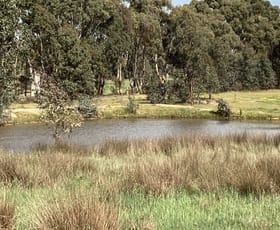 Rural / Farming commercial property sold at Lot 38C Lexton-Evansford Road Evansford VIC 3371