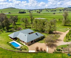 Rural / Farming commercial property sold at 1367 Mountain Creek Road, Mountain Creek, via Holbrook NSW 2644