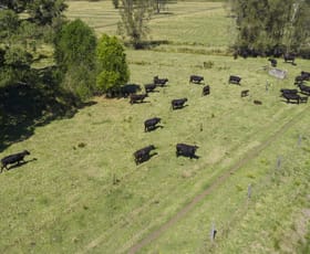 Rural / Farming commercial property sold at 11 Onslow Lane Kundle Kundle NSW 2430