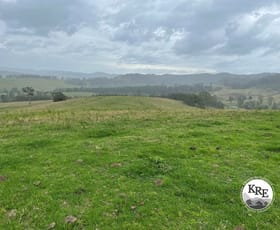 Rural / Farming commercial property for sale at Lot 1 Ettrick Road Kyogle NSW 2474