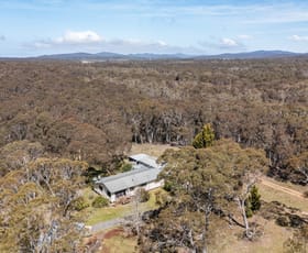 Rural / Farming commercial property for sale at 558 Northangera Road Mongarlowe NSW 2622