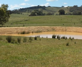 Rural / Farming commercial property sold at 27A Rifle Range Road Amphitheatre VIC 3468