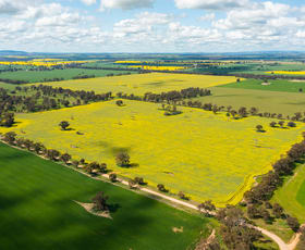 Rural / Farming commercial property sold at 10 & 164/ Piggins Road Hopefield NSW 2646