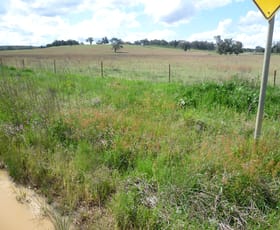 Rural / Farming commercial property sold at 2229 Ropers Road Binnaway NSW 2395