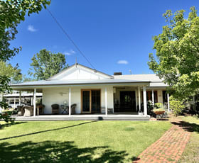 Rural / Farming commercial property sold at 1459 Old Narrandera Road Wagga Wagga NSW 2650