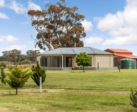 Rural / Farming commercial property sold at 279 Oswalds Road Campbells Forest VIC 3556