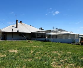 Rural / Farming commercial property sold at 5828 Western Highway Kiata VIC 3418