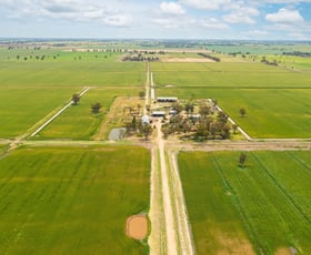 Rural / Farming commercial property sold at Riverina Highway Finley NSW 2713