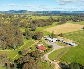 Rural / Farming commercial property sold at 50 Neil Street Barnawartha VIC 3688
