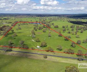 Rural / Farming commercial property sold at Section 200 Mount Burr Road Mount Mcintyre SA 5279