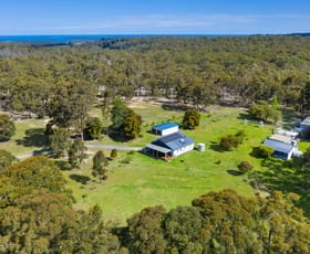 Rural / Farming commercial property sold at 243 Turpentine Road Tomerong NSW 2540