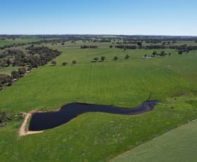 Rural / Farming commercial property sold at 1482 Back Creek Road Young NSW 2594