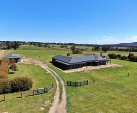 Rural / Farming commercial property sold at 360 Thompsons Creek Road Pipers Flat NSW 2847
