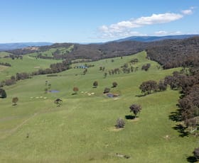 Rural / Farming commercial property sold at 101 Yellow Creek Road Taggerty VIC 3714