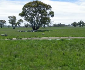 Rural / Farming commercial property sold at 208 Barkers Lake Road Bungarby NSW 2630