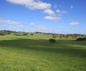 Rural / Farming commercial property sold at Six Chain Road Sandford VIC 3312