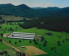 Rural / Farming commercial property sold at Stroud NSW 2425