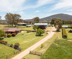 Rural / Farming commercial property sold at 11563 New England Highway Tilbuster NSW 2350