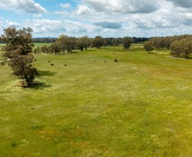 Rural / Farming commercial property sold at 29 Berry Jerry Road Collingullie NSW 2650