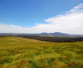 Rural / Farming commercial property for sale at 48b + 48c Saddle Road Buangor VIC 3375
