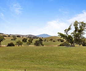 Rural / Farming commercial property for sale at ' Glendhu Hills ' Spring Flat Road Crowlands VIC 3377