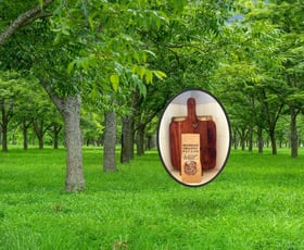 Rural / Farming commercial property for sale at 139 Homestead Road Kyogle NSW 2474